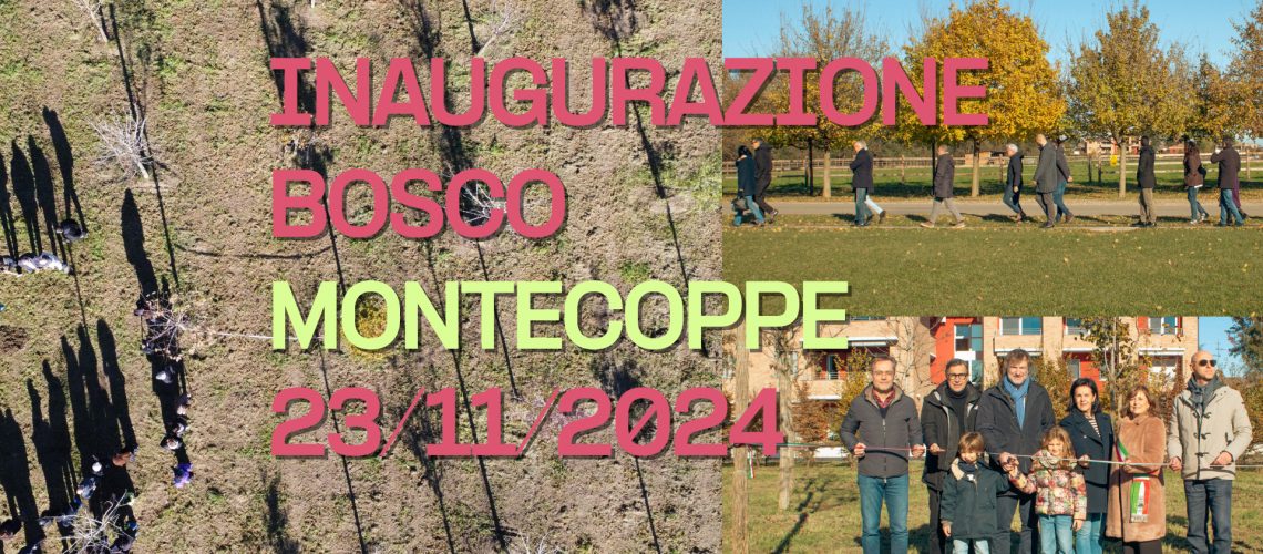 news sito montecoppe (2)