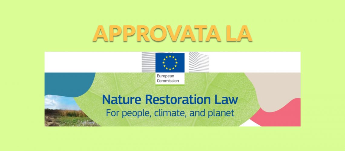 news sito nature RESTORATION